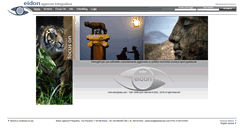 Desktop Screenshot of eidonpress.com